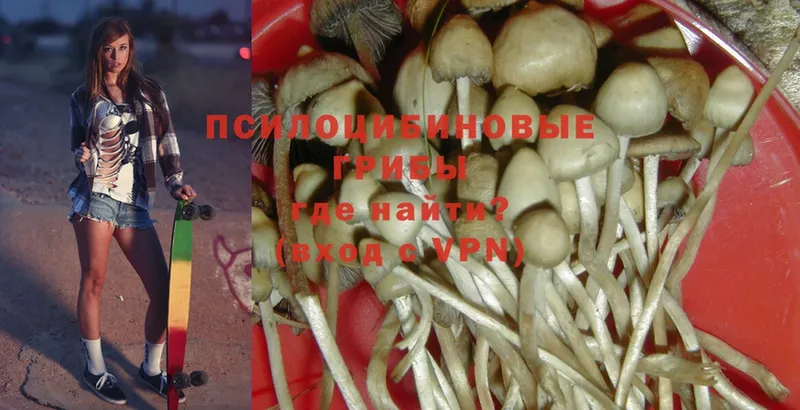 Галлюциногенные грибы MAGIC MUSHROOMS Шарыпово